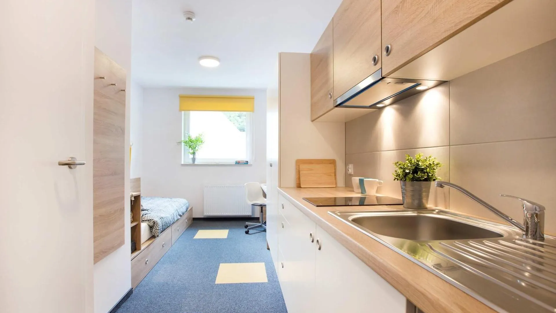 Modern Studios In Wroclaw With Desk For Remote Work And Access To The Gym By Noclegi Renters